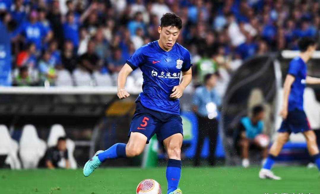 申花中场球员受伤退场，球队状态受影响