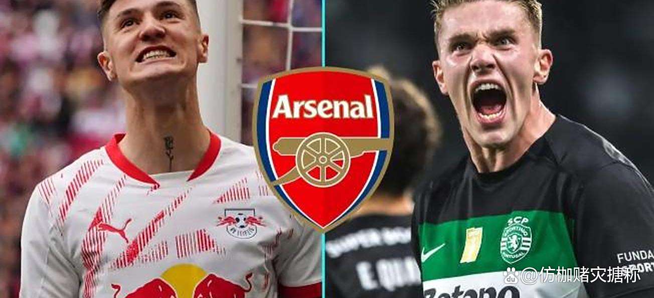 球迷疑虑球队阵容不稳定，期待转会窗口的简单介绍